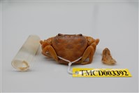 藏品(拉氏清溪蟹)的圖片